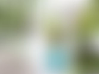 Community ins Leben rufen